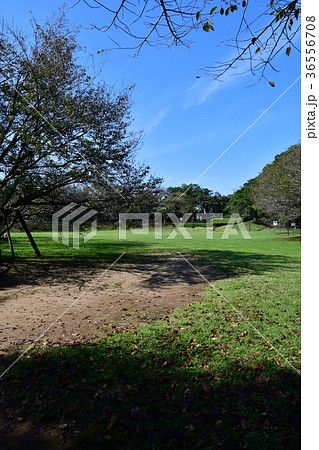 佐倉城14 36556708