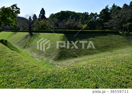 佐倉城14 佐倉城14 36556711