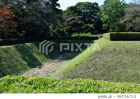 佐倉城14 佐倉城14 36556713