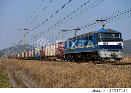 コンテナ満載！EF210-301貨物列車 36557186