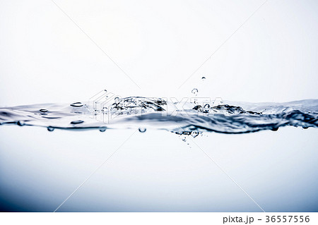水 36557556