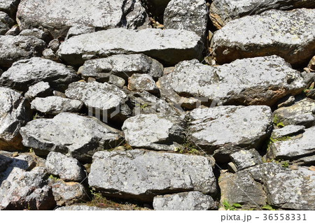 浜松城の石垣 浜松城の石垣 36558331