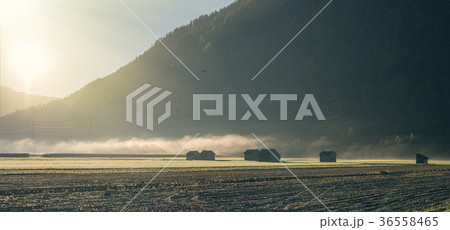 Houses in Switzerland in the morning mist Houses in Switzerland in the morning mist 36558465