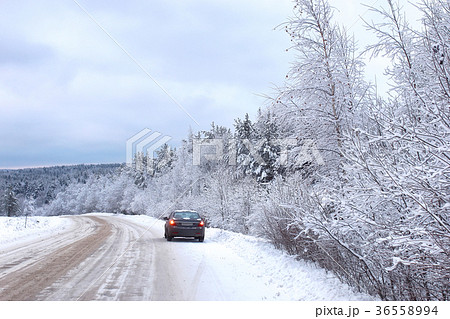 landscape Road in the winter forest with snow 36558994