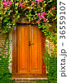 Wooden door with nature 36559107