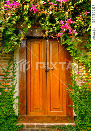 Wooden door with nature 36559107