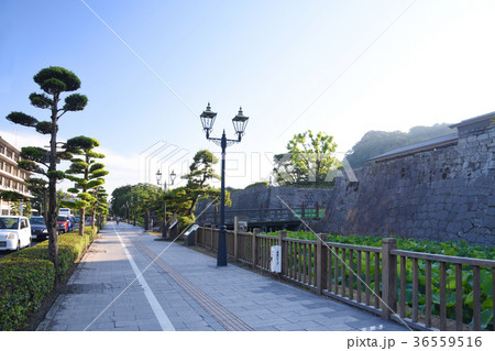 鹿児島・鶴丸城と大堀の風景 36559516