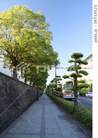 鹿児島・磯街道の歩道から見た風景 鹿児島・磯街道の歩道から見た風景 36559520