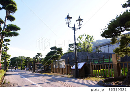 鹿児島・鶴丸城と大堀の風景 鹿児島・鶴丸城と大堀の風景 36559521