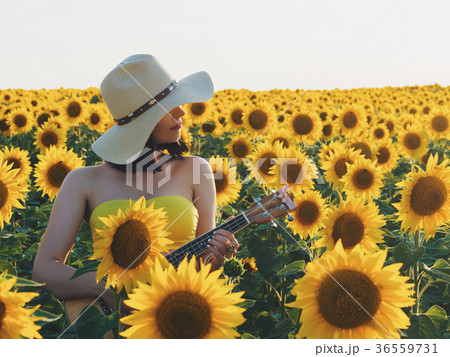Happy woman in sunflower field playing on ukulele Happy woman in sunflower field playing on ukulele 36559731