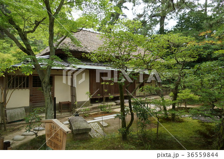 香川県高松市・特別名勝「栗林公園」の日暮亭 36559844