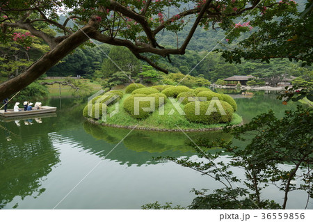 香川県高松市・特別名勝「栗林公園」ハートの恋ツツジ 香川県高松市・特別名勝「栗林公園」ハートの恋ツツジ 36559856