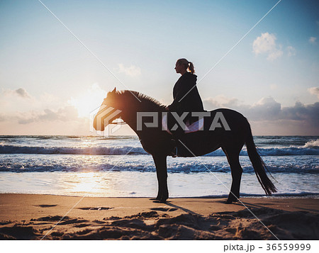 woman sitting on black horse at sea beach woman sitting on black horse at sea beach 36559999