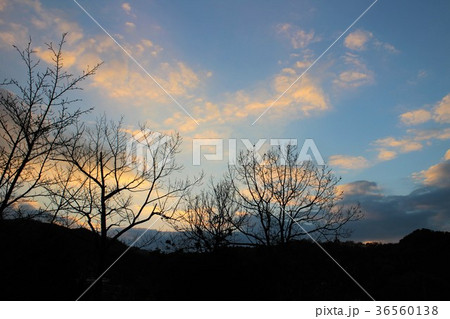 夕方の冬空 36560138