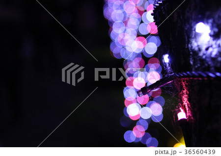 クリスマス 背景 バックグラウンド 36560439