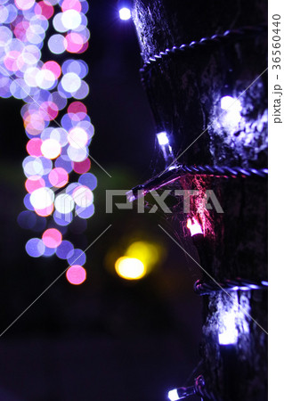 クリスマス 背景 バックグラウンド 36560440