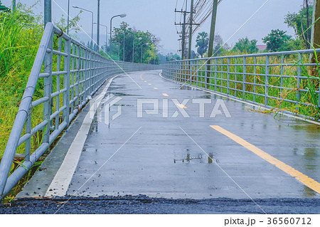 Wet road after rain amidst electric pole and tree Wet road after rain amidst electric pole and tree 36560712