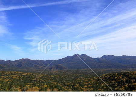 北海道　上士幌　秋の三国峠 36560788