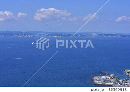 浦賀水道の風景 36560918