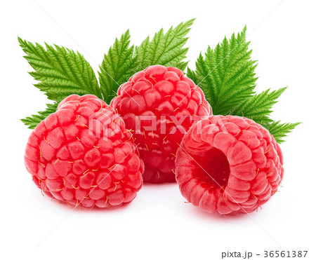 Three ripe raspberries isolated Three ripe raspberries isolated 36561387