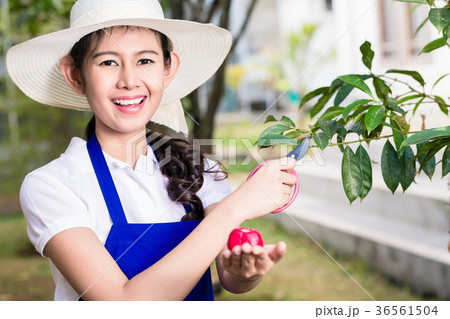 Side view portrait of young Asian woman pruning 36561504