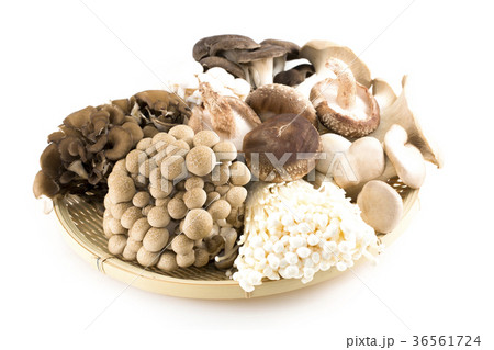 きのこの盛り合わせ 36561724