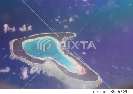 タヒチ ハート型の島 ツパイ タヒチ ハート型の島 ツパイ 36562092