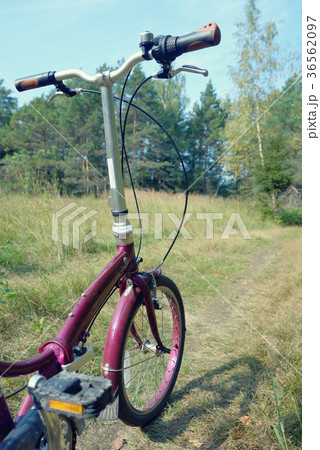 Bicycle on a forest path 36562097