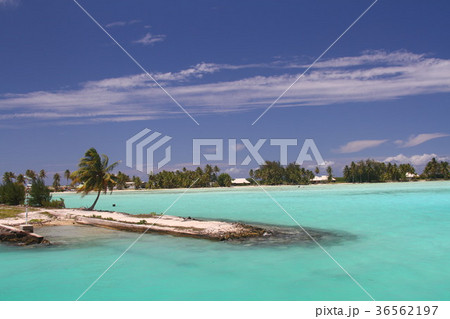 タヒチ　青い海　南太平洋 36562197