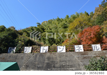 定光寺 愛岐トンネル群 定光寺 愛岐トンネル群 36562860