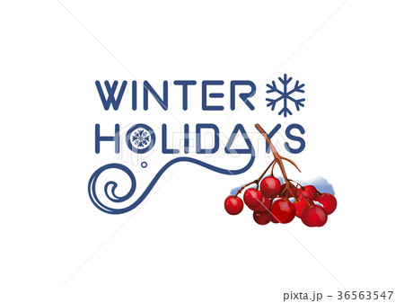 Christmas and New Year design 36563547