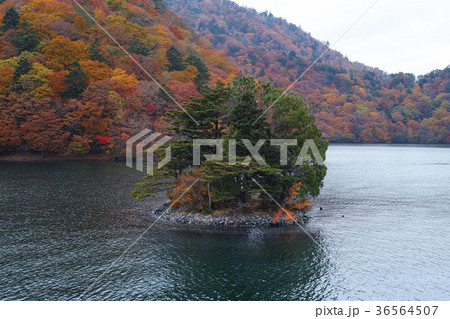 【日光国立公園】上野島（日光最強のパワースポットと言われます。）） 36564507