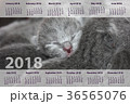 the calendar for 2018year 36565076
