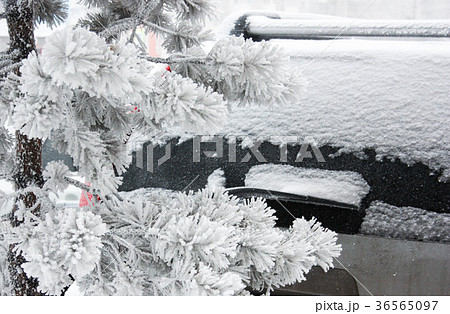 car in the snow. snowy winter. cleaning 36565097
