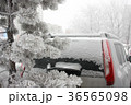 car in the snow. snowy winter. cleaning 36565098