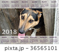 the calendar for 2018. a dog with 36565101