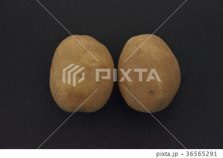 ジャガイモ・コナヒメ 36565291