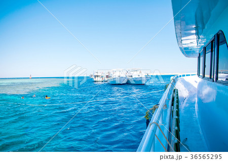 Two white luxury yachts in a picturesque bay with Two white luxury yachts in a picturesque bay with 36565295
