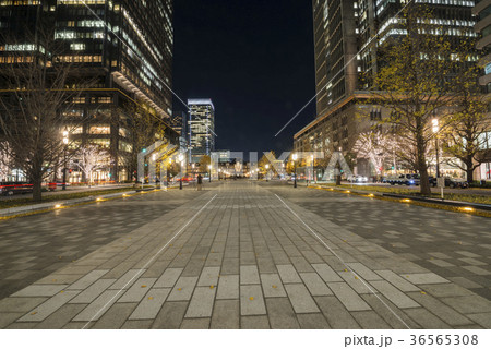 東京駅行幸通りの夜景 36565308