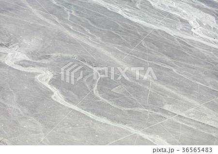 Nazca lines from the aircraft Nazca lines from the aircraft 36565483