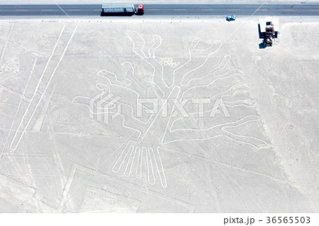 Nazca lines from the aircraft Nazca lines from the aircraft 36565503