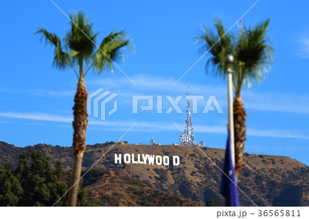ハリウッドサイン(アメリカ合衆国カリフォルニア州 ロサンゼルス) ハリウッドサイン(アメリカ合衆国カリフォルニア州 ロサンゼルス) 36565811
