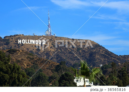 ハリウッドサイン アメリカ合衆国カリフォルニア州 ロサンゼルス の写真素材
