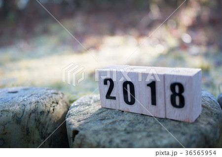 2018年 2018年 36565954