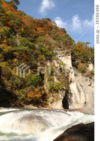 秋の吹割渓谷 秋の吹割渓谷 36566366