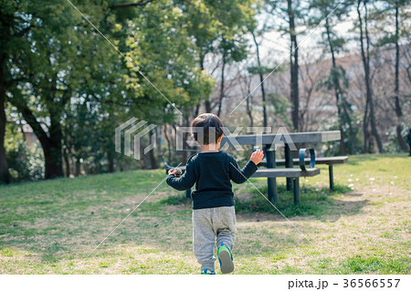 2 years old 36566557