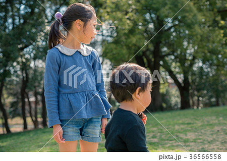 2 years old　&　7 years old 36566558