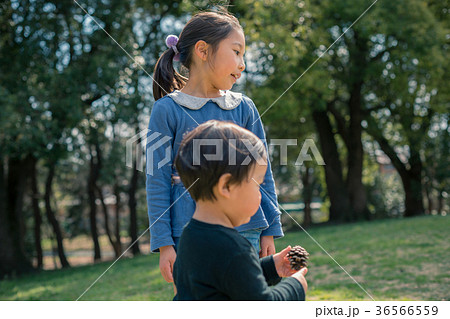 2 years old　&　7 years old 36566559