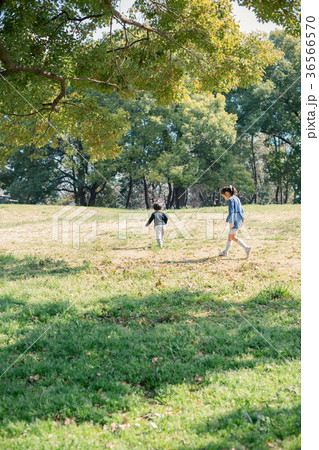 2 years old　&　7 years old 36566570