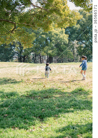 2 years old　&　7 years old 36566571